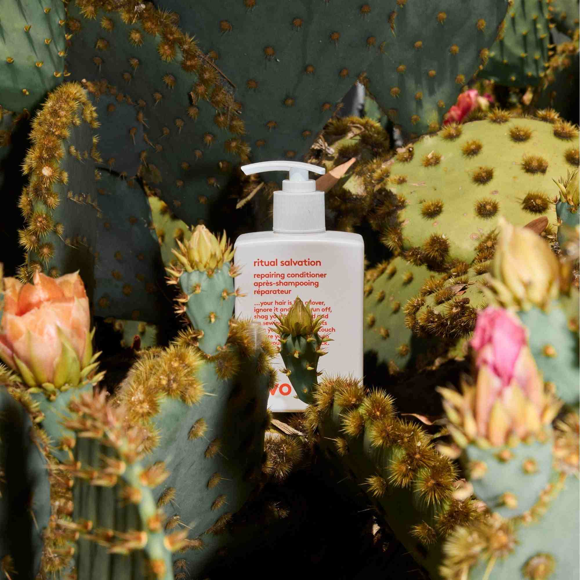 Evo Set Ritual Salvation Shampoo + Conditioner